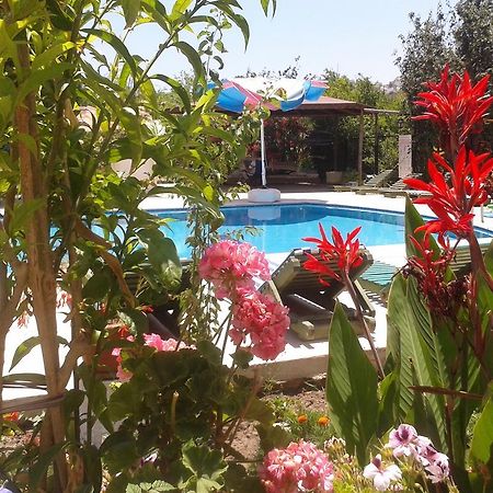 Апарт отель Paradise Garden Gumusluk Evleri Экстерьер фото
