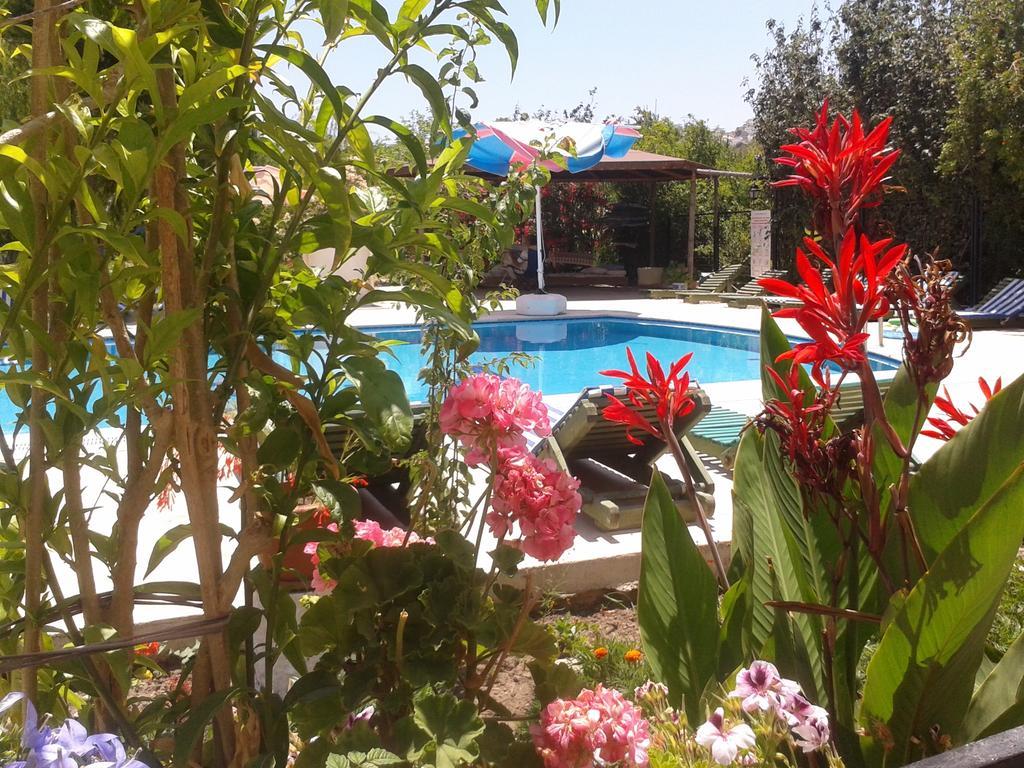 Апарт отель Paradise Garden Gumusluk Evleri Экстерьер фото